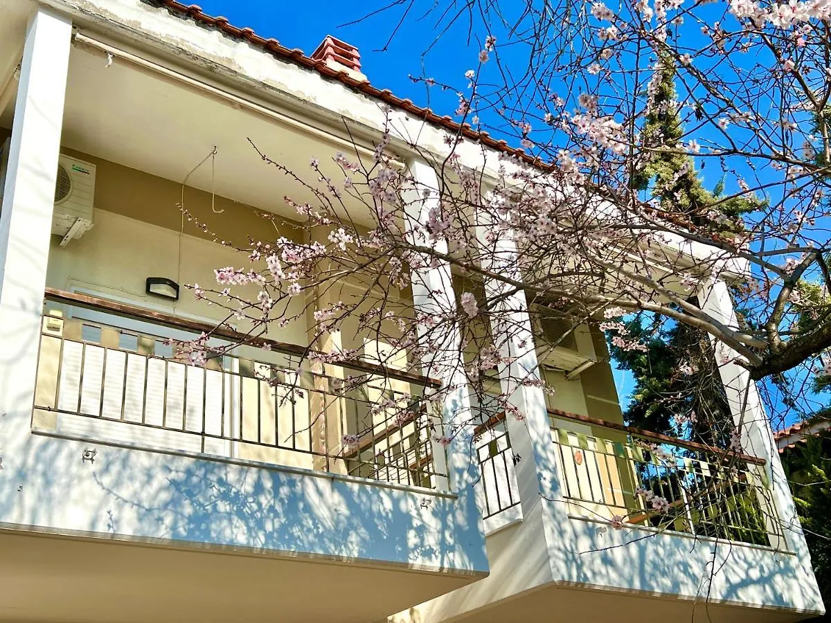 Nikiti Beach Houses 0*, Nikiti (Sithonia) Yunanistan