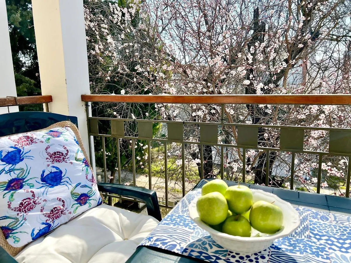 Sea Side Malibu Villa Nikiti  Case de vacanță